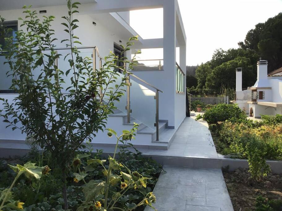 Zante Luxury Apartment أرغاسي المظهر الخارجي الصورة